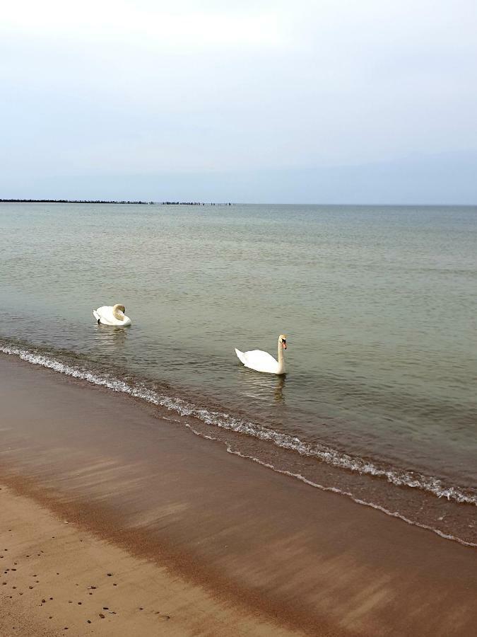 Palanga Apartments Near Baltic Sea Kültér fotó